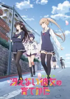 Saenai Heroine no Sodatekata BD