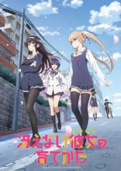 Saenai Heroine no Sodatekata